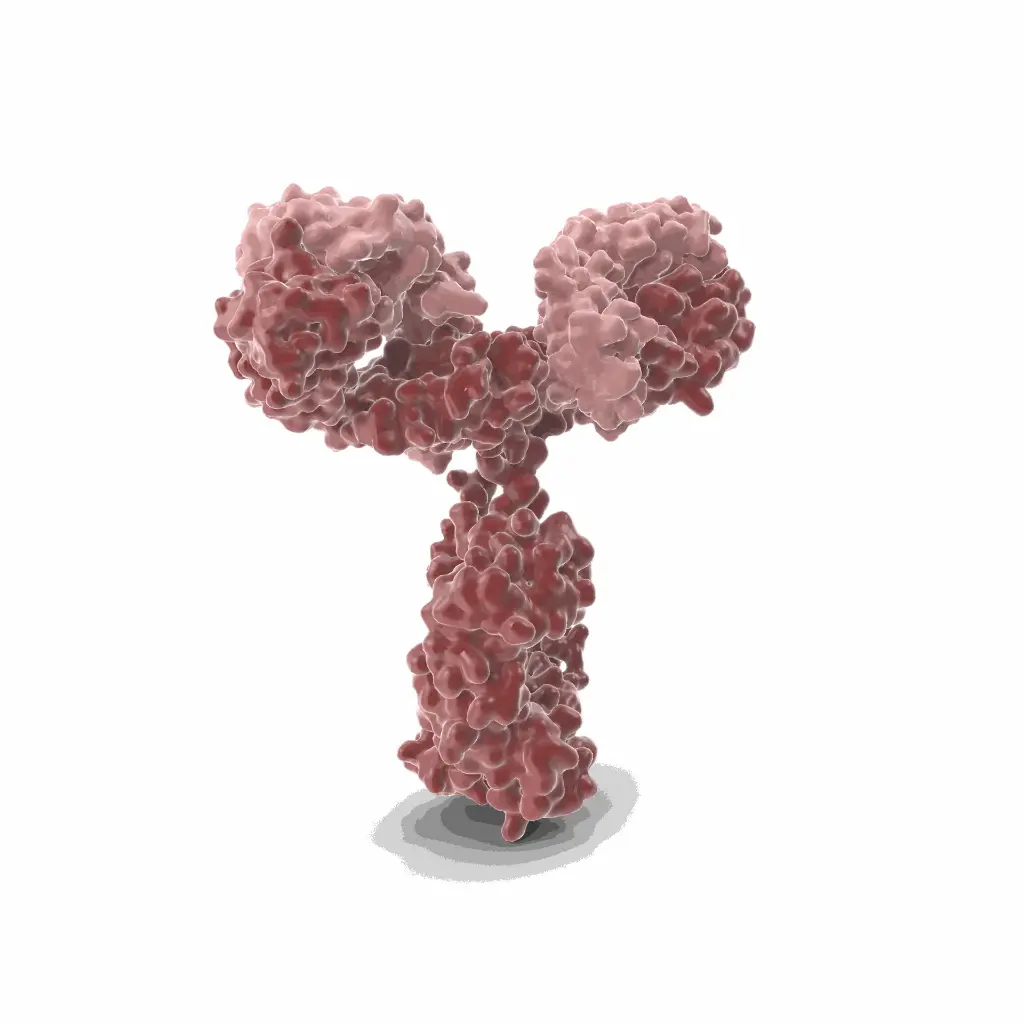 [GEN-ANTI-02] Gentaur FITC Mab Antibody for Fluorescence Detection